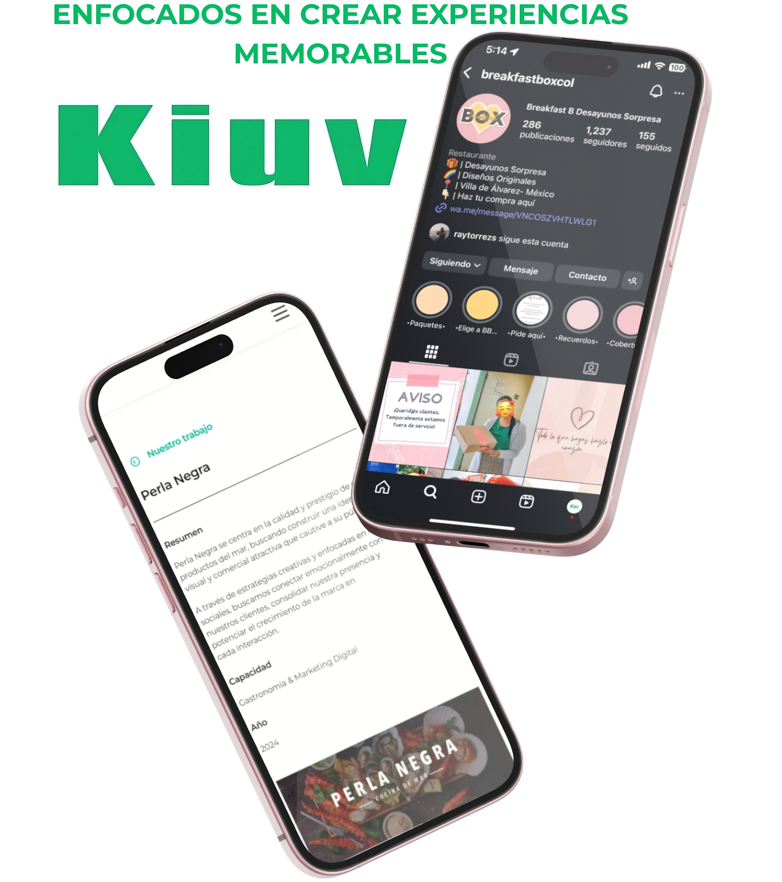Kiuv - Agencia de Marketing Digital